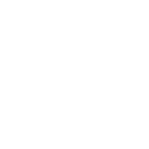 Sapient_AG2