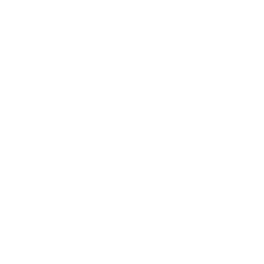 logo_025_accenture