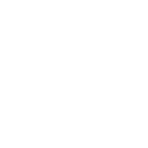 logo_028_tech_and_soul